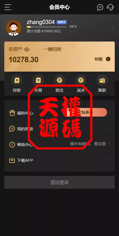 图片[8]-澳门金沙娱乐源码-天权海外源码网