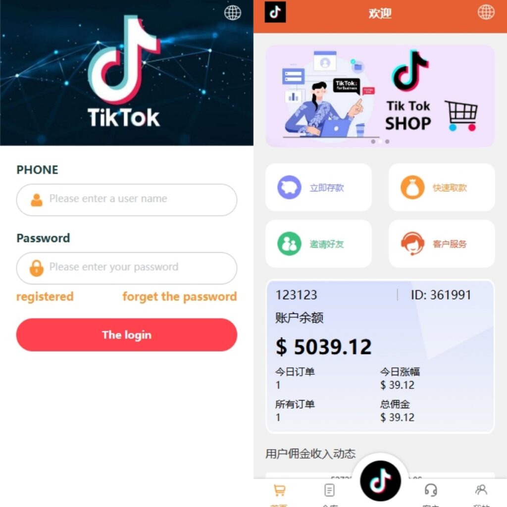 -tiktok抢单刷单源码系统#刷单打针